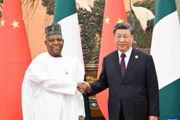 China Ready to Support Nigeria Achieve Industrialization and Modernization