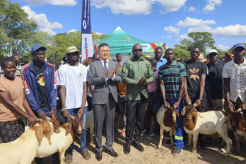 The Chinese Embassy in Zimbabwe recently handed over 30 Boer goats to youth clubs in Mashonaland Central Province as part of its efforts to boost youth empowerment in the country. Speaking at the handover ceremony, Minister of Youth Empowerment, Development and Vocational Training Tinoda Machakaire underlined the donation as a symbol of partnership, empowerment and hope for a brighter future for Zimbabwean youth. "I extend my deepest gratitude to the Chinese embassy for this meaningful gesture of collaboration and support," Machakaire said, adding that the donation to 30 youth clubs engaged in goat production in the district serves as a reminder of the strong and enduring friendship between Zimbabwe and China. He said the high-quality Boer bucks will play a crucial role in improving goat genetics and carcass weight, leading to increased incomes for young goat farmers in the district. Charge d'Affaires and Minister Counsellor Cheng Yan said the donation exemplifies the shared commitment to youth empowerment and reflects the long-standing fraternal friendship between the two countries. CHINESE EMBASSY DONATES BOER GOATS TO EMPOWER ZIMBABWEAN YOUTHS