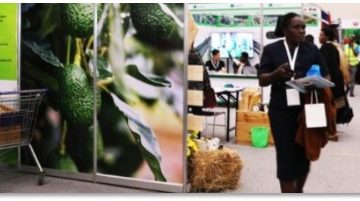 The exhibition hall of the second International Africa Avocado Congress