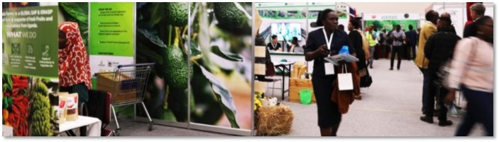 The exhibition hall of the second International Africa Avocado Congress 