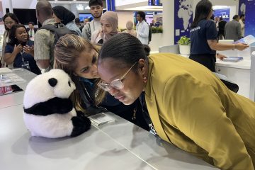 Two attendees to the 28th Africa Tech Festival that is held in Cape Town, South Africa, on November 11, 2025 local time, learn about a plush toy giant panda integrated with artificial intelligence systems in the Chinese enterprises' exhibition area. Photo: VCG